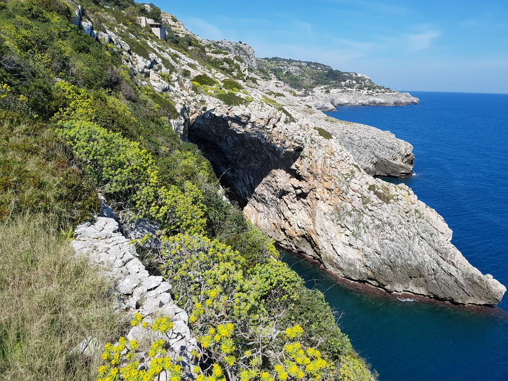 Villa Bocca Del Pozzo Gagliano del Capo Exterior photo