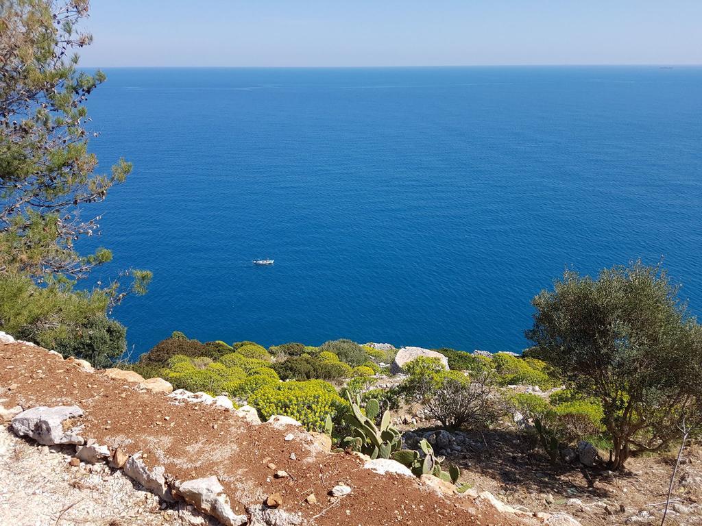 Villa Bocca Del Pozzo Gagliano del Capo Exterior photo